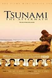 Tsunami: Po katastrofie